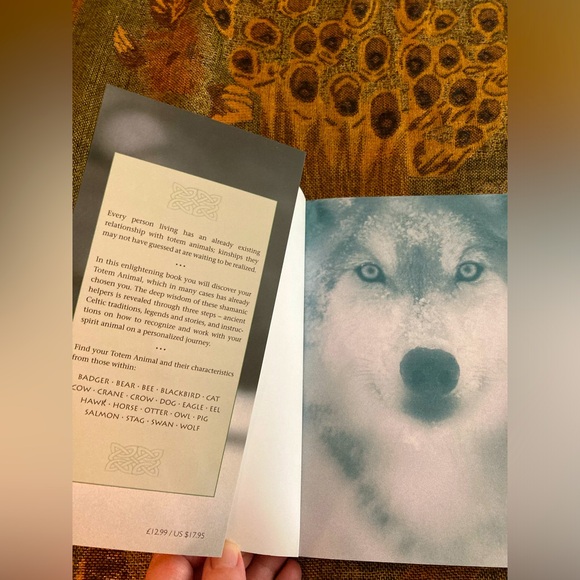 CELTIC TOTEM ANIMALS Book and Cards by John Matthews - Picture 2 of 14